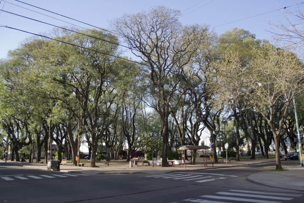 Villa Pueyrredón, Buenos Aires